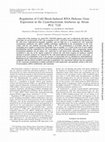 Research paper thumbnail of Regulation of Cold Shock-Induced RNA Helicase Gene Expression in the Cyanobacterium Anabaena sp. Strain PCC 7120