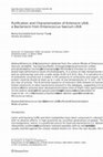 Research paper thumbnail of Purification and characterization of the Enterococcus faecalis pyrimidine nucleotide biosynthetic (pyr) operon regulatory protein (PyrR) [microform] /