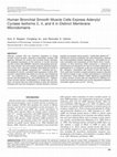 Research paper thumbnail of Human Bronchial Smooth Muscle Cells Express Adenylyl Cyclase Isoforms 2, 4, and 6 in Distinct Membrane Microdomains