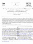 Research paper thumbnail of Cloning and expression analysis of an ovine PAP-like protein cDNA, a gene differentially expressed in scrapie