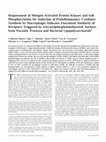 Research paper thumbnail of Requirement of Mitogen-Activated Protein Kinases and I B Phosphorylation for Induction of Proinflammatory Cytokines Synthesis by Macrophages Indicates Functional Similarity of Receptors Triggered by Glycosylphosphatidylinositol Anchors from Parasitic Protozoa and Bacterial Lipopolysaccharide