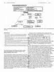 Research paper thumbnail of The Relationship Between Body Mass Index and Hypertension in Elderly Greeks: The Nemea Primary Care Study