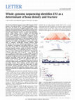 Research paper thumbnail of Whole-genome sequencing identifies EN1 as a determinant of bone density and fracture