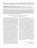 Research paper thumbnail of Surface Creasing Instability of Soft Polyacrylamide Cell Culture Substrates