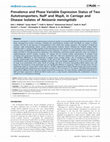 Research paper thumbnail of Prevalence and Phase Variable Expression Status of Two Autotransporters, NalP and MspA, in Carriage and Disease Isolates of Neisseria meningitidis