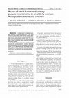 Research paper thumbnail of A case of labial fusion and urinary pseudo-incontinence in an elderly woman. A surgical treatment and a review