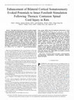 Research paper thumbnail of Enhancement of bilateral cortical somatosensory evoked potentials to intact forelimb stimulation following thoracic contusion spinal cord injury in rats