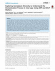 Research paper thumbnail of Exploring Germplasm Diversity to Understand the Domestication Process in Cicer spp. Using SNP and DArT Markers