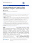 Research paper thumbnail of Endogenous lentivirus in Malayan colugo ( Galeopterus variegatus ), a close relative of primates