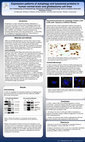 Research paper thumbnail of Expression patterns of autophagy and lysosomal proteins in human normal brain and glioblastoma cell lines Immunohisrochemistry for Autophagy Proteins LC3A-LC3B under Exposure to Different Stresses