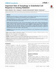 Research paper thumbnail of Important Role of Autophagy in Endothelial Cell Response to Ionizing Radiation