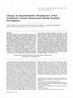 Research paper thumbnail of Changes in somatodendritic morphometry of rat oculomotor nucleus motoneurons during postnatal development