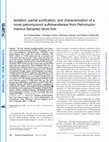 Research paper thumbnail of ISOLATION, PARTIAL PURIFICATION AND CHARACTERIZATION OF LIPASE FROM SUNFLOWER GERMINATING OIL SEEDS