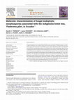 Research paper thumbnail of Molecular characterisation of fungal endophytic morphospecies associated with the indigenous forest tree, Theobroma gileri, in Ecuador