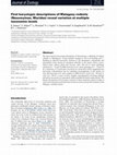 Research paper thumbnail of First karyotypic descriptions of Malagasy rodents (Nesomyinae, Muridae) reveal variation at multiple taxonomic levels