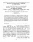 Research paper thumbnail of Interface of the interaction of the middle domain of human translation termination factor eRF1 with eukaryotic ribosomes