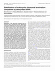 Research paper thumbnail of Stabilization of eukaryotic ribosomal termination complexes by deacylated tRNA