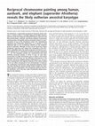 Research paper thumbnail of Reciprocal chromosome painting among human, aardvark, and elephant (superorder Afrotheria) reveals the likely eutherian ancestral karyotype