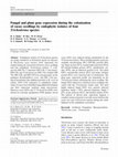 Research paper thumbnail of Fungal and plant gene expression during the colonization of cacao seedlings by endophytic isolates of four Trichoderma species