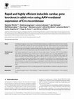 Research paper thumbnail of Rapid and highly efficient inducible cardiac gene knockout in adult mice using AAV-mediated expression of Cre recombinase