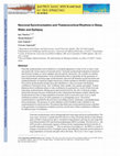 Research paper thumbnail of Neuronal Synchronization and Thalamocortical Rhythms during Sleep, Wake, and Epilepsy