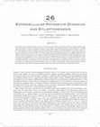 Research paper thumbnail of Extracellular Potassium Dynamics and Epileptogenesis