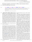 Research paper thumbnail of Electrogenic properties of the Na+/K+ ATPase controls transitions between normal and pathological brain states