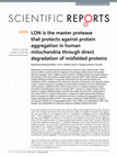 Research paper thumbnail of LON is the master protease that protects against protein aggregation in human mitochondria through direct degradation of misfolded proteins OPEN