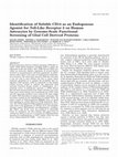 Research paper thumbnail of Complex compulsive behaviour in the temporal variant of frontotemporal dementia