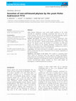 Research paper thumbnail of Secretion of non-cell-bound phytase by the yeast Pichia kudriavzevii TY13 Non-cell-bound yeast phytase