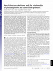 Research paper thumbnail of New Paleocene skeletons and the relationship of plesiadapiforms to crown-clade primates