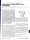 Research paper thumbnail of Virtual endocast of Ignacius graybullianus (Paromomyidae, Primates) and brain evolution in early primates