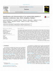 Research paper thumbnail of Identification and characterization of an antimicrobial peptide of Hypsiboas semilineatus (Spix, 1824) (Amphibia, Hylidae)