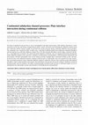 Research paper thumbnail of Continental subduction channel processes: Plate interface interaction during continental collision