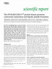 Research paper thumbnail of The PITSLRE/CDK11p58 protein kinase promotes centrosome maturation and bipolar spindle formation