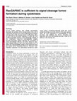 Research paper thumbnail of RacGAP50C is sufficient to signal cleavage furrow formation during cytokinesis