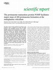 Research paper thumbnail of The proteasome maturation protein POMP facilitates major steps of 20S proteasome formation at the endoplasmic reticulum