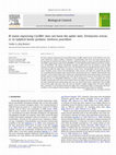 Research paper thumbnail of Bt maize expressing Cry3Bb1 does not harm the spider mite, Tetranychus urticae, or its ladybird beetle predator, Stethorus punctillum