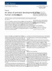 Research paper thumbnail of An atlas of prenatal development of the human orofacial region