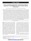 Research paper thumbnail of Actin Cytoskeleton Organization and Posttranscriptional Regulation of Endothelial Nitric Oxide Synthase During Cell Growth