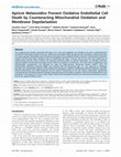 Research paper thumbnail of Apricot Melanoidins Prevent Oxidative Endothelial Cell Death by Counteracting Mitochondrial Oxidation and Membrane Depolarization