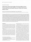 Research paper thumbnail of Information about the Weight of Grasped Objects from Vision and Internal Models Interacts within the Primary Motor Cortex