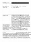 Research paper thumbnail of Small and large strain rheology of wheat gluten