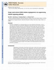 Research paper thumbnail of Grape Seed Extract Inhibits Angiogenesis via Suppression of the Vascular Endothelial Growth Factor Receptor Signaling Pathway