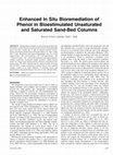 Research paper thumbnail of Enhanced In Situ Bioremediation of Phenol in Bioestimulated Unsaturated and Saturated Sand-Bed Columns