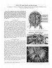 Research paper thumbnail of NSTX TF joint failure and re-design