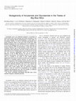 Research paper thumbnail of Mutagenic toxicity of acrylamide and glycidamide in germ cells of mice