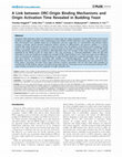 Research paper thumbnail of A Link between ORC-Origin Binding Mechanisms and Origin Activation Time Revealed in Budding Yeast