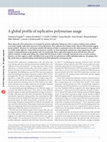 Research paper thumbnail of A global profile of replicative polymerase usage