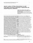 Research paper thumbnail of Identification of fiber orientation in left free-wall accessory pathways: implication for radiofrequency ablation